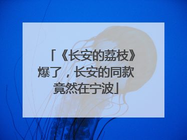 《长安的荔枝》爆了，长安的同款竟然在宁波
