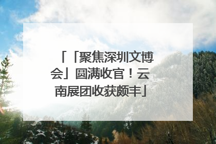 「聚焦深圳文博会」圆满收官！云南展团收获颇丰
