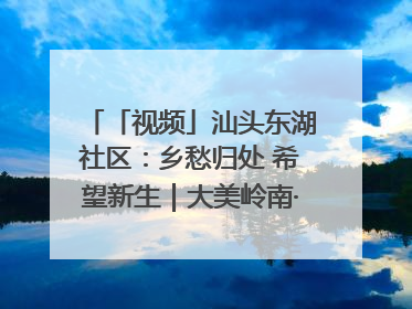 「视频」汕头东湖社区：乡愁归处 希望新生｜大美岭南·百村焕新记