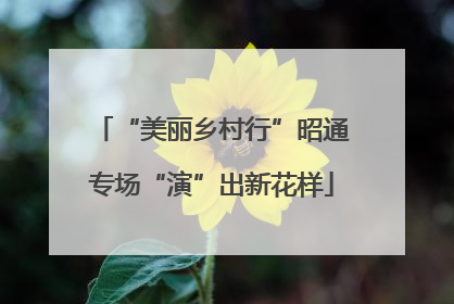 “美丽乡村行”昭通专场“演”出新花样
