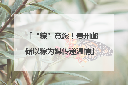 “粽”意您！贵州邮储以粽为媒传递温情