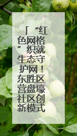 “红色网格”织就生态守护网！东胜区营盘壕社区创新模式破解禁牧禁垦难题