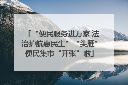 “便民服务进万家 法治护航惠民生”“头雁”便民集市“开张”啦