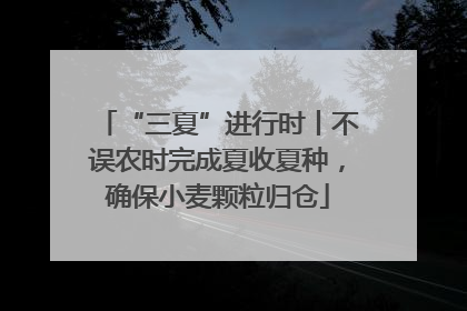 “三夏”进行时丨不误农时完成夏收夏种，确保小麦颗粒归仓