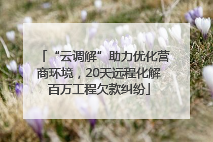 “云调解”助力优化营商环境，20天远程化解百万工程欠款纠纷