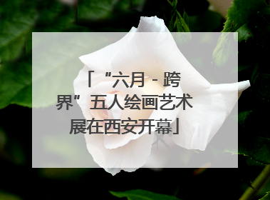 “六月 - 跨界”五人绘画艺术展在西安开幕
