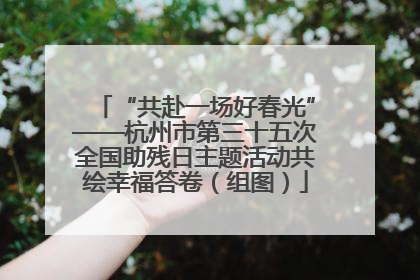 “共赴一场好春光”——杭州市第三十五次全国助残日主题活动共绘幸福答卷（组图）