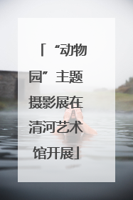 “动物园”主题摄影展在清河艺术馆开展