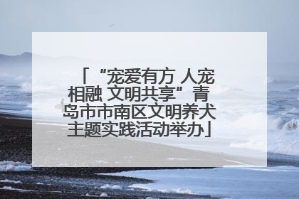 “宠爱有方 人宠相融 文明共享”青岛市市南区文明养犬主题实践活动举办