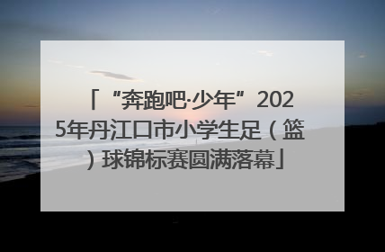 “奔跑吧·少年”2025年丹江口市小学生足（篮）球锦标赛圆满落幕