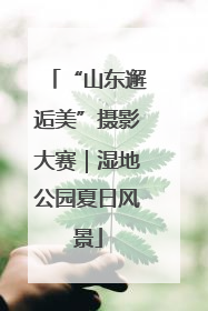 “山东邂逅美”摄影大赛｜湿地公园夏日风景