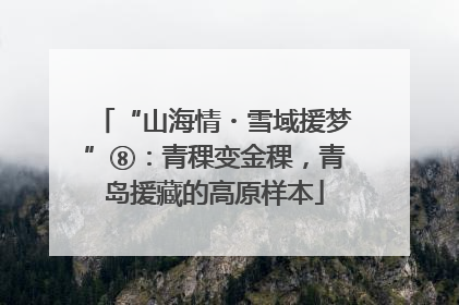 “山海情・雪域援梦”⑧：青稞变金稞，青岛援藏的高原样本