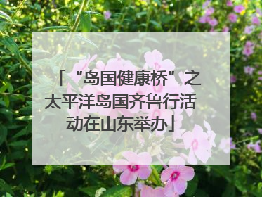 “岛国健康桥”之太平洋岛国齐鲁行活动在山东举办