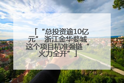 “总投资逾10亿元” 浙江金华婺城这个项目精准强链“火力全开”