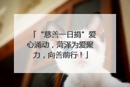 “慈善一日捐”爱心涌动，菏泽为爱聚力，向善前行！