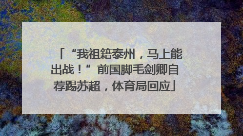 “我祖籍泰州，马上能出战！”前国脚毛剑卿自荐踢苏超，体育局回应