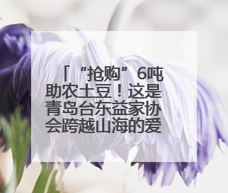 “抢购”6吨助农土豆！这是青岛台东益家协会跨越山海的爱心接力