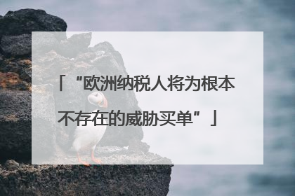 “欧洲纳税人将为根本不存在的威胁买单”