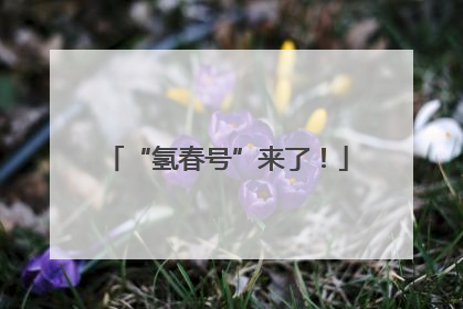 “氢春号”来了！