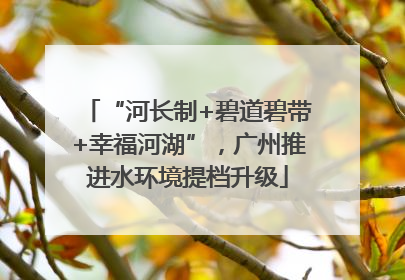 “河长制+碧道碧带+幸福河湖”，广州推进水环境提档升级