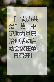 “菏力共治”第一书记助力基层治理活动启动会议在单县召开