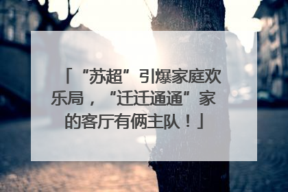 “苏超”引爆家庭欢乐局，“迁迁通通”家的客厅有俩主队！