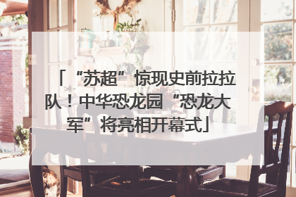 “苏超”惊现史前拉拉队！中华恐龙园“恐龙大军”将亮相开幕式