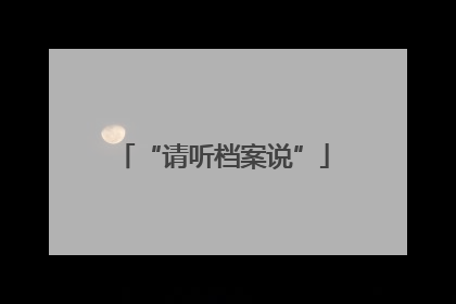 “请听档案说”