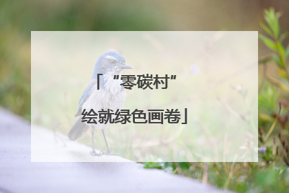 “零碳村” 绘就绿色画卷
