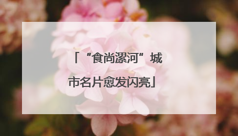 “食尚漯河”城市名片愈发闪亮