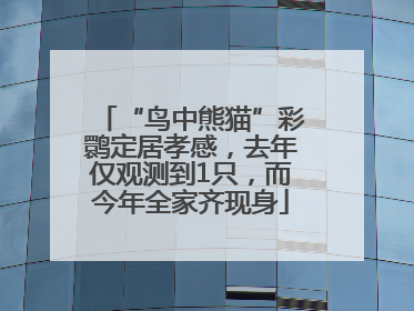 “鸟中熊猫”彩鹮定居孝感，去年仅观测到1只，而今年全家齐现身