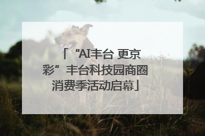 “AI丰台 更京彩”丰台科技园商圈消费季活动启幕