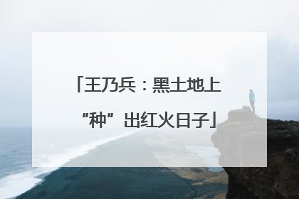 王乃兵：黑土地上“种”出红火日子