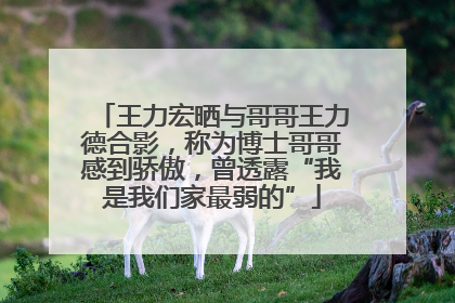 王力宏晒与哥哥王力德合影，称为博士哥哥感到骄傲，曾透露“我是我们家最弱的”