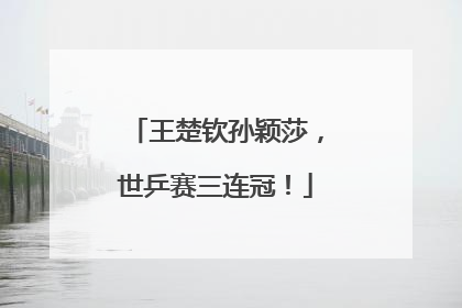 王楚钦孙颖莎，世乒赛三连冠！