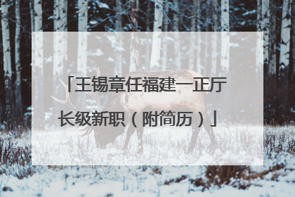 王锡章任福建一正厅长级新职（附简历）