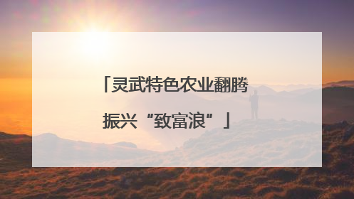 灵武特色农业翻腾振兴“致富浪”