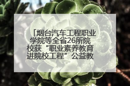 烟台汽车工程职业学院等全省26所院校获“职业素养教育进院校工程”公益教学点集中授牌