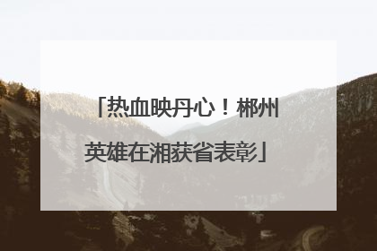 热血映丹心！郴州英雄在湘获省表彰