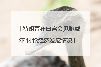 特朗普在白宫会见鲍威尔 讨论经济发展情况