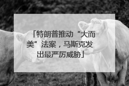 特朗普推动“大而美”法案，马斯克发出最严厉威胁