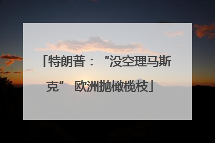 特朗普：“没空理马斯克” 欧洲抛橄榄枝