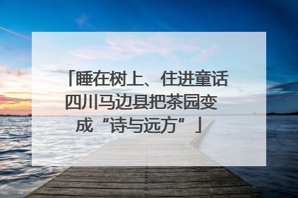 睡在树上、住进童话 四川马边县把茶园变成“诗与远方”