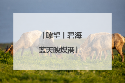 瞭望丨碧海蓝天映煤港