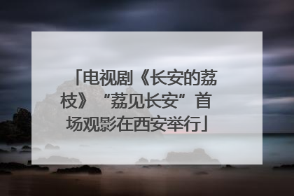 电视剧《长安的荔枝》“荔见长安”首场观影在西安举行