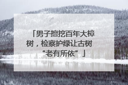 男子擅挖百年大樟树，检察护绿让古树“老有所依”