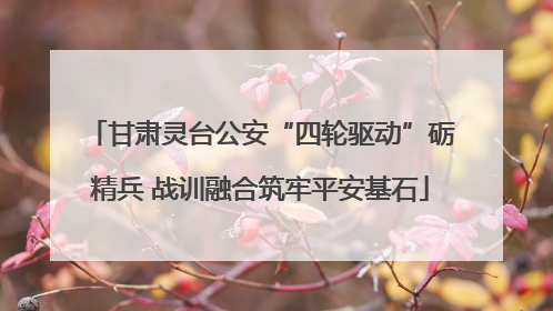 甘肃灵台公安“四轮驱动”砺精兵 战训融合筑牢平安基石