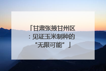 甘肃张掖甘州区：见证玉米制种的“无限可能”