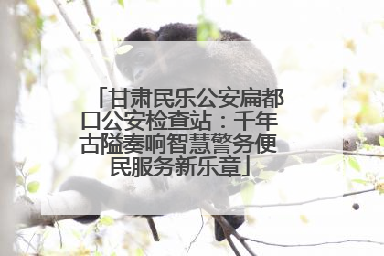 甘肃民乐公安扁都口公安检查站：千年古隘奏响智慧警务便民服务新乐章