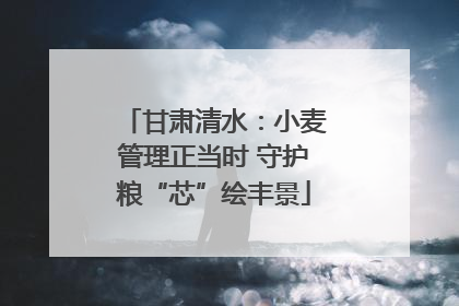 甘肃清水：小麦管理正当时 守护粮“芯”绘丰景